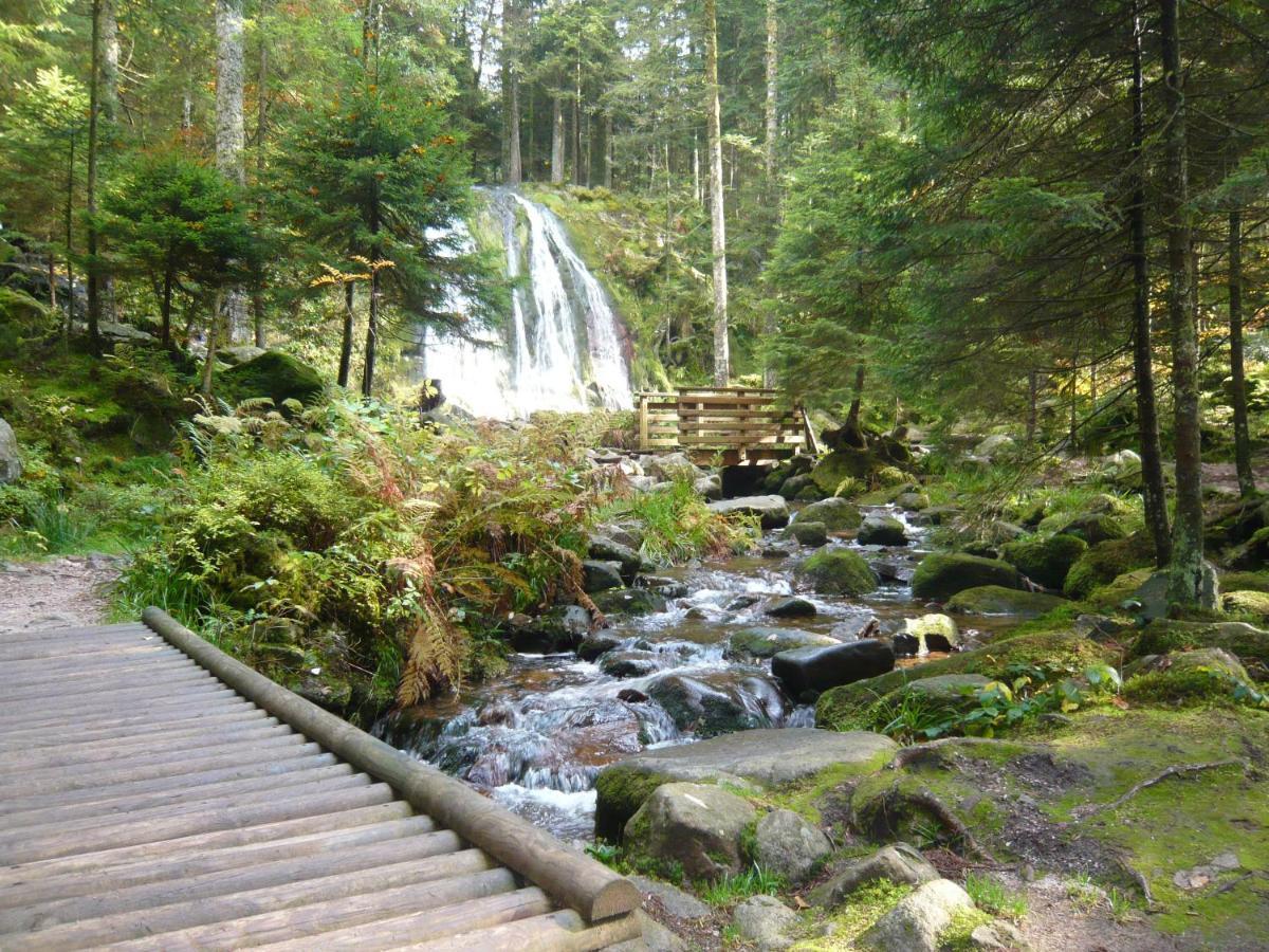 Chalet Les Moraines 8 Le Tholy Kültér fotó