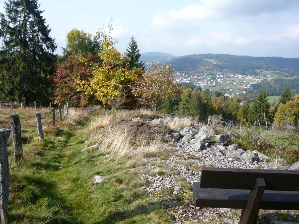 Chalet Les Moraines 8 Le Tholy Kültér fotó
